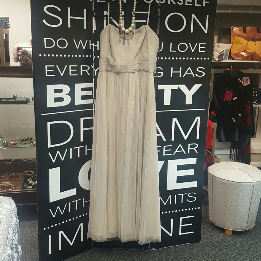 Ralph Lauren Evening Gown (NWT)